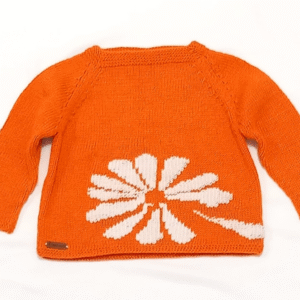 Maglione 18 - 24 mesi